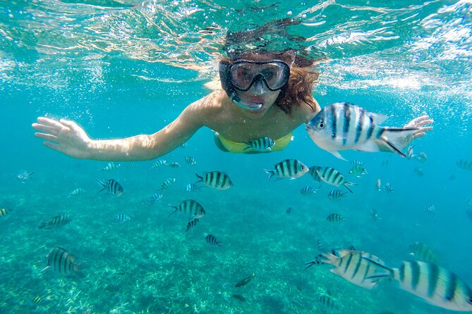 Private 2-Hour Tour in Nassau - Key points to know before booking