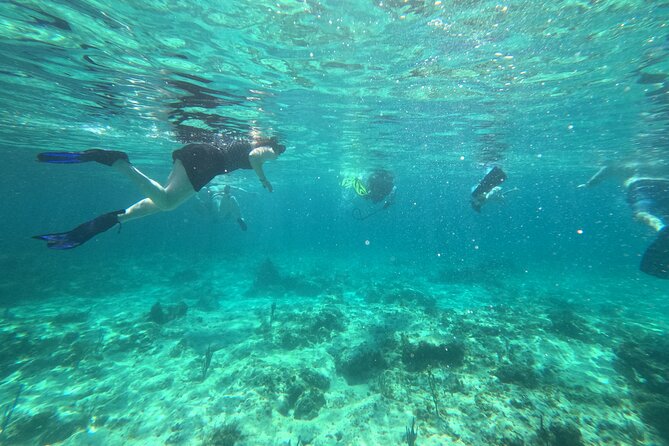 Private 2-Hour Tour in Nassau - Why the private format matters