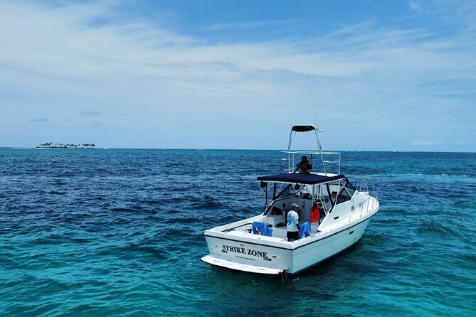Private 38' Defender Sportfishing/Swim with Pigs in Nassau - Key Points Before You Book