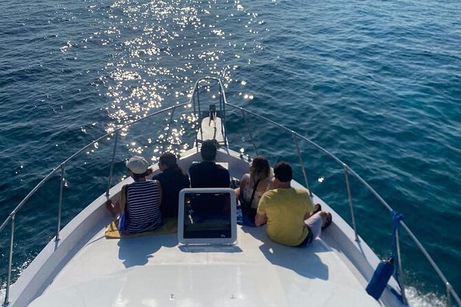 Private 38' Defender Sportfishing/Swim with Pigs in Nassau - Rose Island’s First Reef Stop