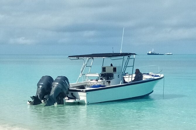 Private 4 hour Rose Island tour snorkeling fishing - Key points at a glance