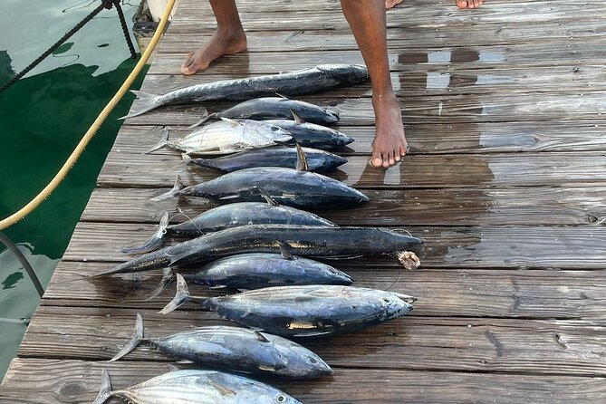 Private 6 Hour Fishing Charter in Nassau - Optional catering and the catch of the day