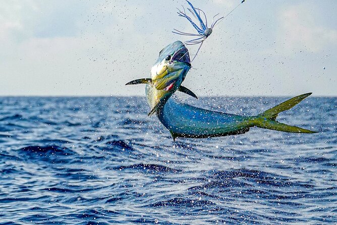 Private 6 Hour Fishing Charter in Nassau - Service from Donna, the captain, and the mate