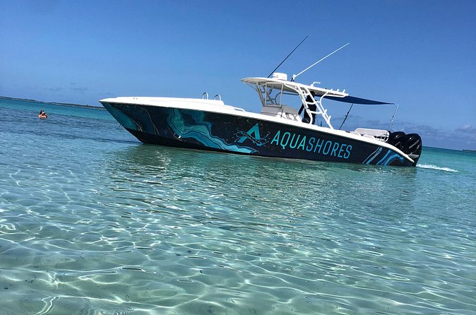 Private Bahamas Boat Fishing and Turtle Snorkeling Tour - Is $1,800 a Fair Price?