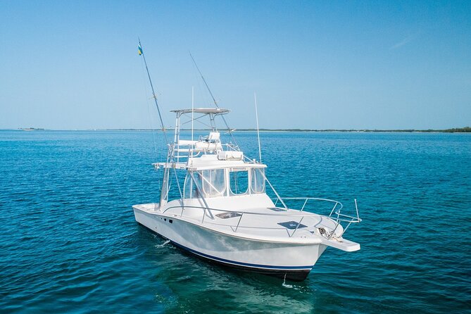 Private Bahamas Half-Day Fishing Tour from New Providence - Who Will Enjoy This Most