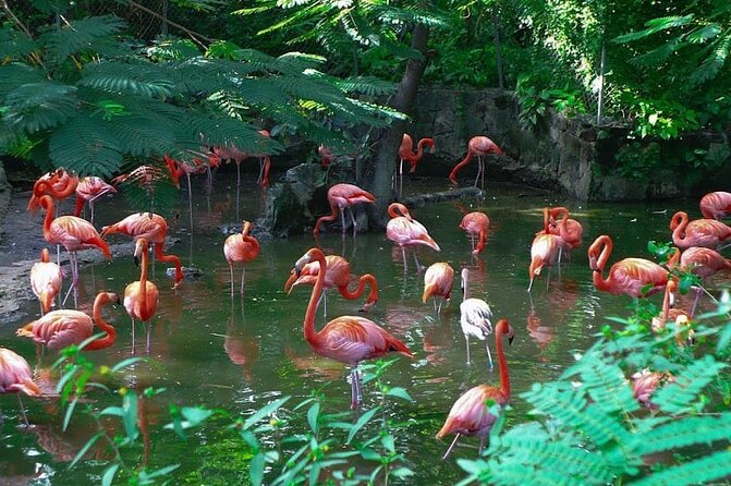 Private Beach Day/Guided TourThrough New Providence Island - What makes this Nassau tour worth considering