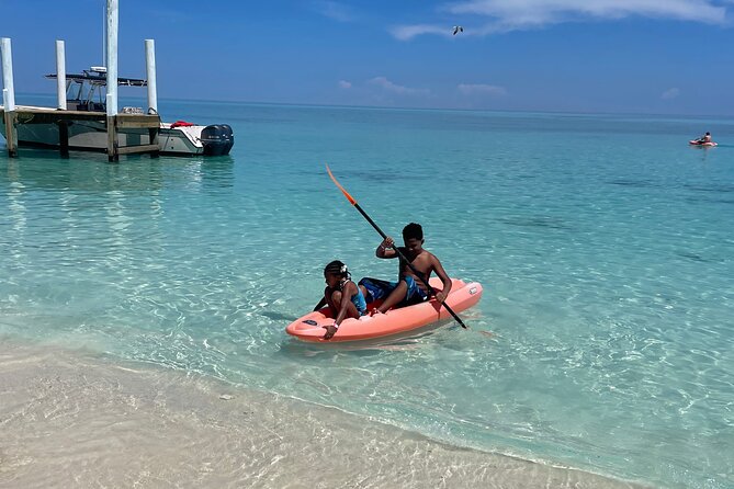 Private Boat Swim and Snorkel Adventure to Rose Island - The pig swim is an extra, not a standard inclusion