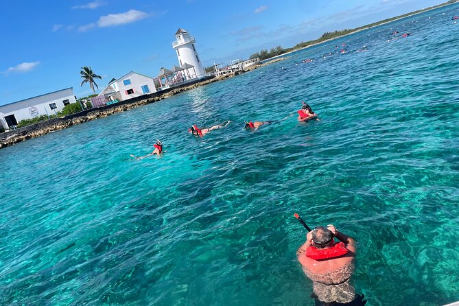 Private Boat Swim and Snorkel Adventure to Rose Island - Is $1,670 good value?