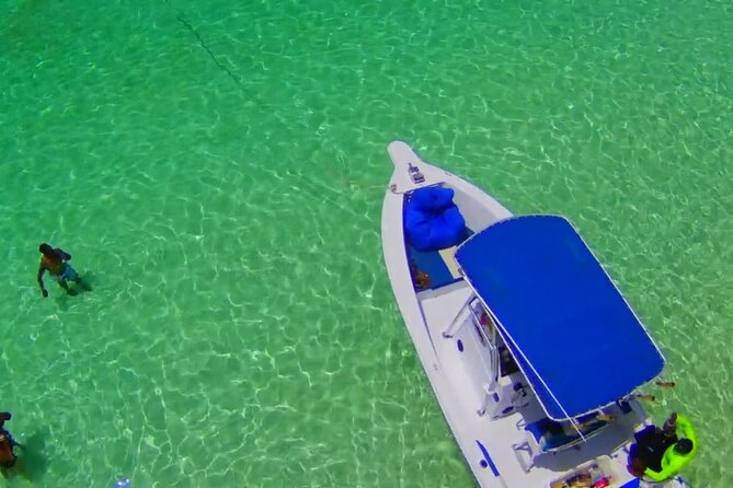 Private Boat Tours & Fishing Charters in Nassau, Bahamas - Stop one: meeting Nassau’s famous swimming pigs