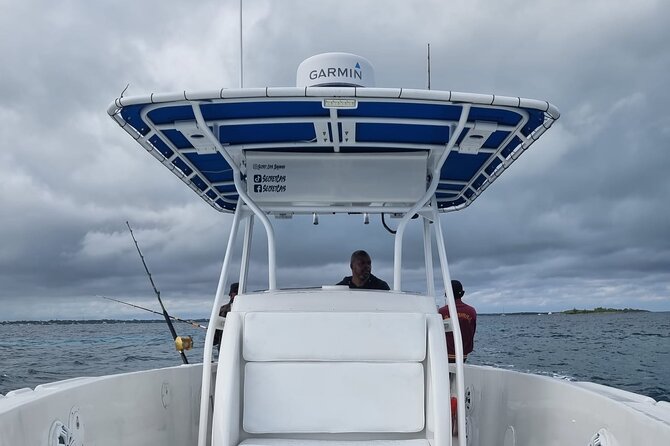 Private Charter for snorkeling, swimming pigs, turtles & fishing.... - Key points to know before you book