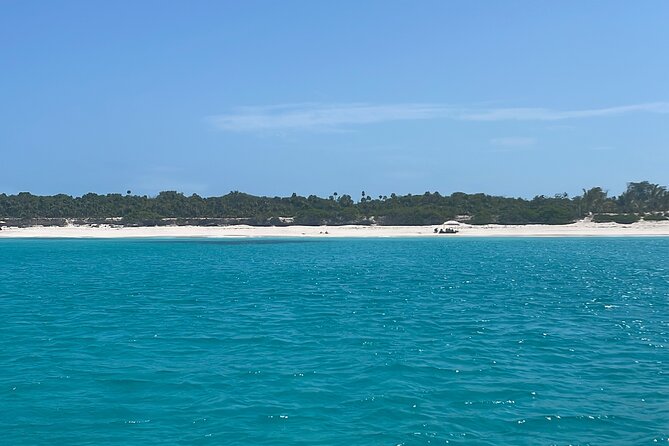 Private Eleuthera Island: Swim With Pigs, Turtles & Stingrays - What the $8,500 price really means