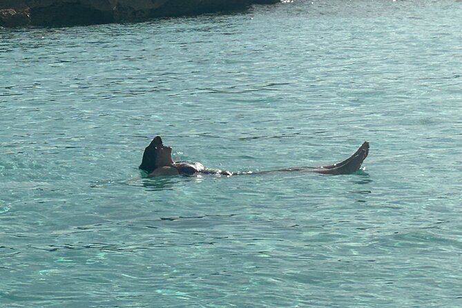 Private Full Day Cruise Tour in Rose Island with Snorkeling - Captain Stafford Missick and First Mate Bullard