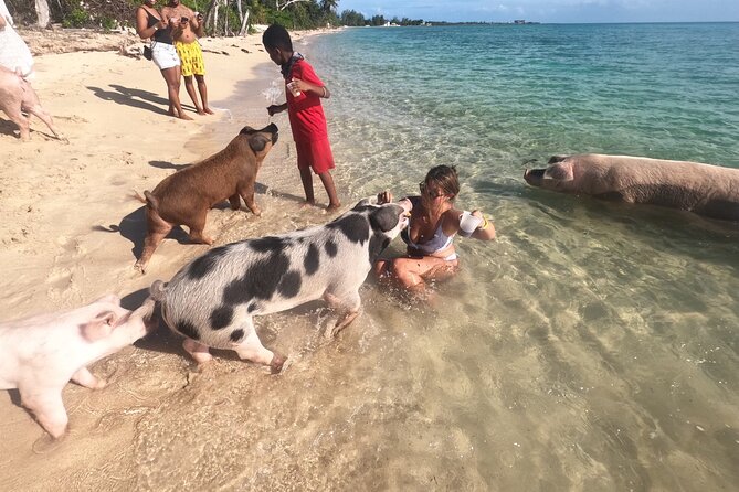 Private GroupTour Pigs/Turtles/Snorkeling/Lunch/Pickup/Dropoff - Why This Nassau Charter Works Best For Small Groups