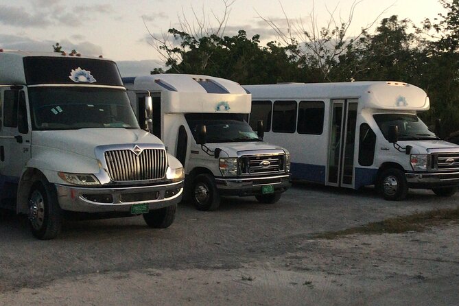 Private One-Way Transfer from Lynden Airport to Bahamas - The Driver’s Local Tips Are a Real Plus
