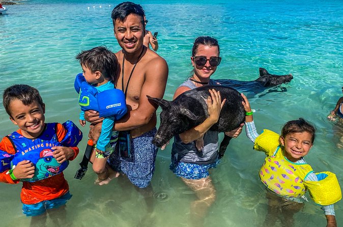 Private Rose Island Half Day Tour with Swimming Pigs and Turtles - Physical Demands and Practical Planning