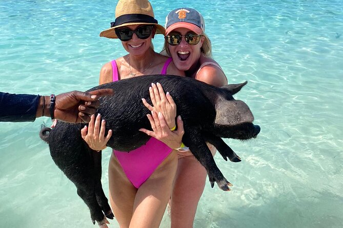 Private Rose Island, Swimming Pigs, Snorkeling and Turtles - What this private Nassau charter is really selling