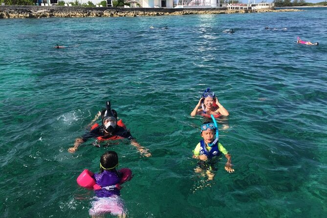 Private Rose Island, Swimming Pigs, Snorkeling and Turtles - Rose Island: the reason to reserve a private boat