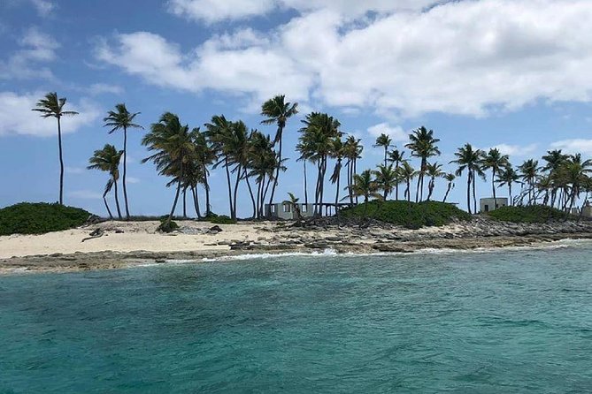 Private Rose Island, Swimming Pigs, Snorkeling and Turtles - Green Cay and the search for sea turtles