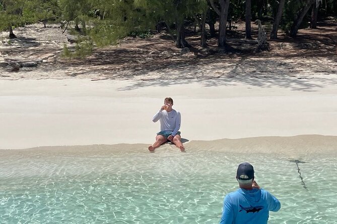 Private Rose Island, Swimming Pigs, Snorkeling and Turtles - Swimming pigs, with an important location warning