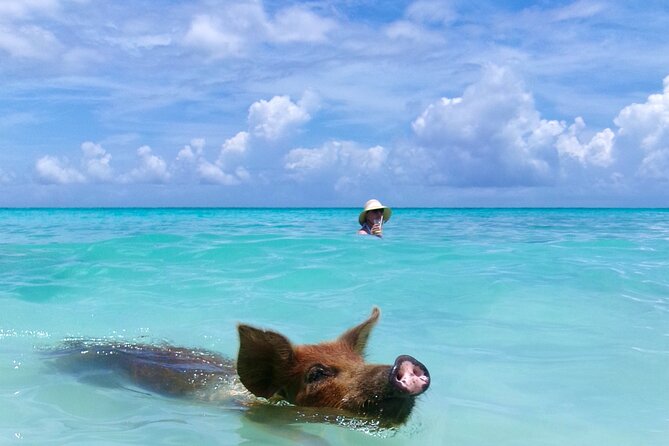 Private Sightseeing Tour in Nassau with Lunch - What the $399.99 price really covers