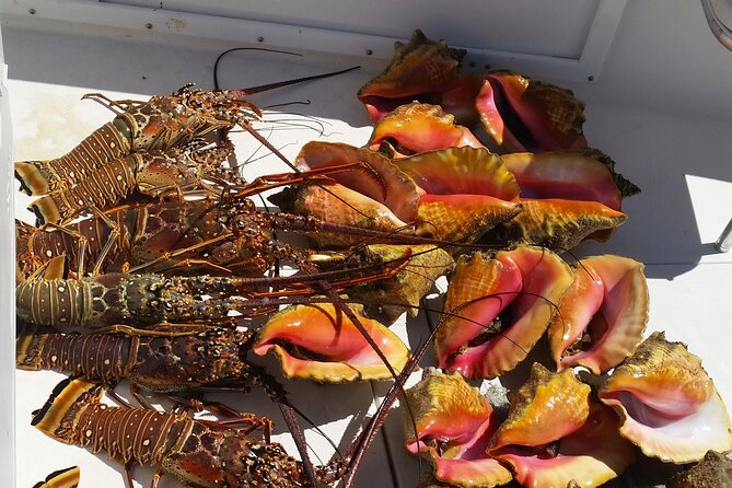 Private Snorkeling And Fishing Activity - Three or four islands, not one crowded stop
