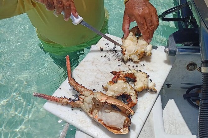Private Snorkeling And Fishing Activity - What is included, and what you still need