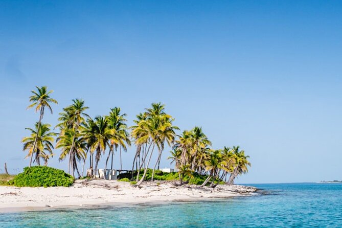 Private Snorkeling or Fishing from Nassau - 31ft Sitting Pretty - Four hours or eight hours?