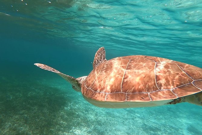 Private Snorkeling or Fishing in Nassau - 55ft Cocorijo - What the crew adds to the experience