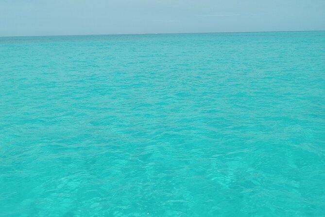 Private speed boat beach and bar hopping visiting Rose island - Key points to know before booking