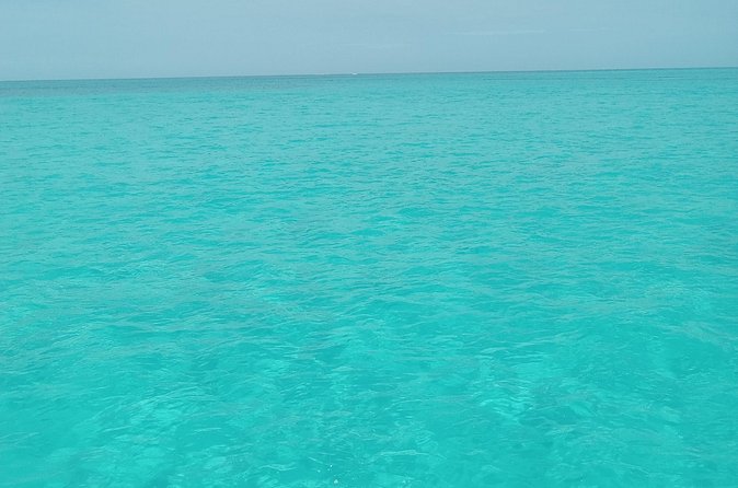 Private speed boat beach and bar hopping visiting Rose island - Who will enjoy this Nassau boat trip most?