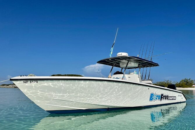 Private Speed Boat for Snorkeling or Fishing in Nassau - 34ft - Key points to know before booking