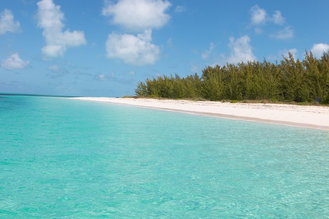 Private Speed Boat for Snorkeling or Fishing in Nassau - 34ft - Snorkeling over Nassau’s coral reefs