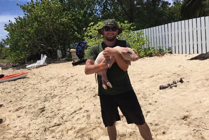 Private Swim With Pigs and Snorkeling in Paradise Tour - A quiet beach stop between the water activities