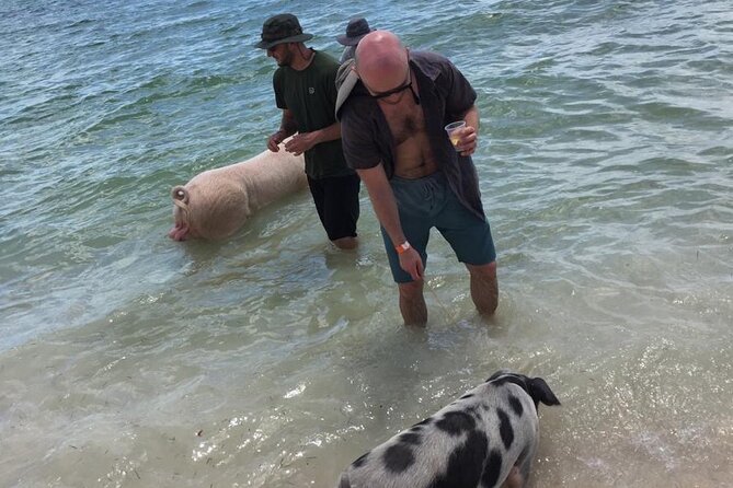 Private Swim With Pigs and Snorkeling in Paradise Tour - What the private format is really worth