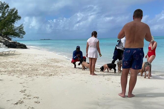 Private Swim With Pigs and Snorkeling in Paradise Tour - Crew service and family suitability