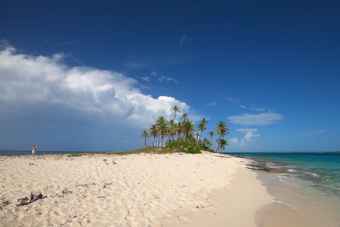 Rose Island Adventure: Turtle Swim and Snorkel - Key points at a glance