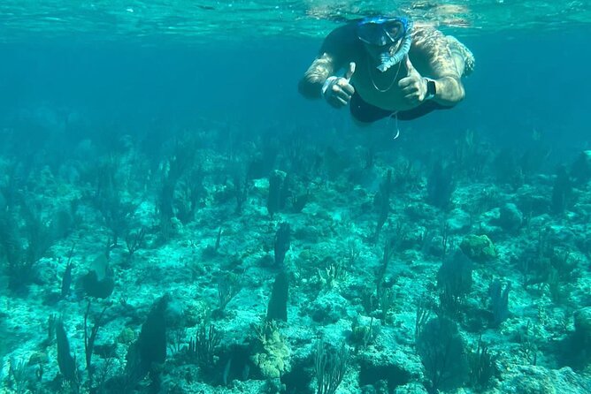 Rose Island Adventure: Turtle Swim and Snorkel - Snorkeling with turtles and an underwater scooter