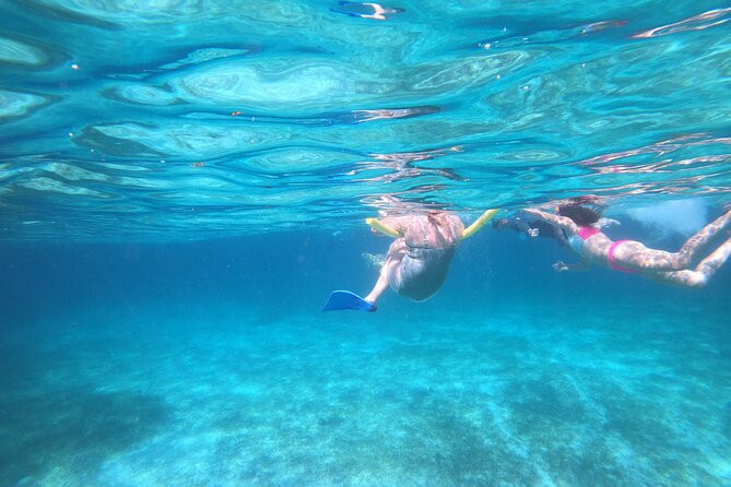 Rose Island Adventure: Turtle Swim and Snorkel - Who will enjoy this outing most