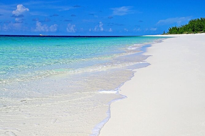 Rose Island Half-Day Snorkeling Cruise - Who will enjoy this cruise most