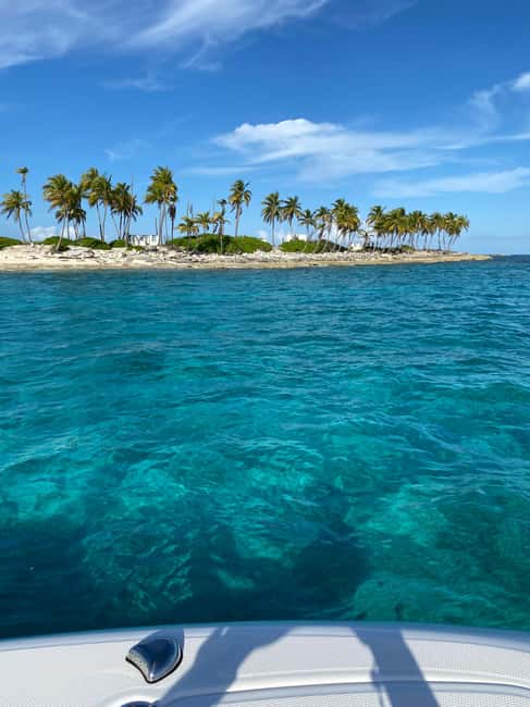 Rose Island: Pig Beach, Snorkeling, Sea Turtles, Beach - Why Rose Island makes a good Nassau escape