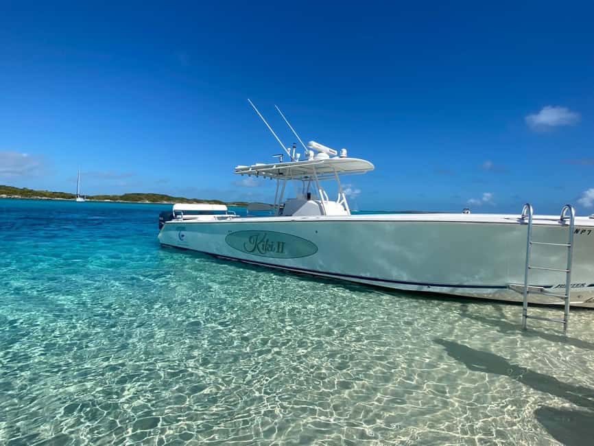 Rose Island: Pig Beach, Snorkeling, Sea Turtles, Beach - The pig experience is optional and extra