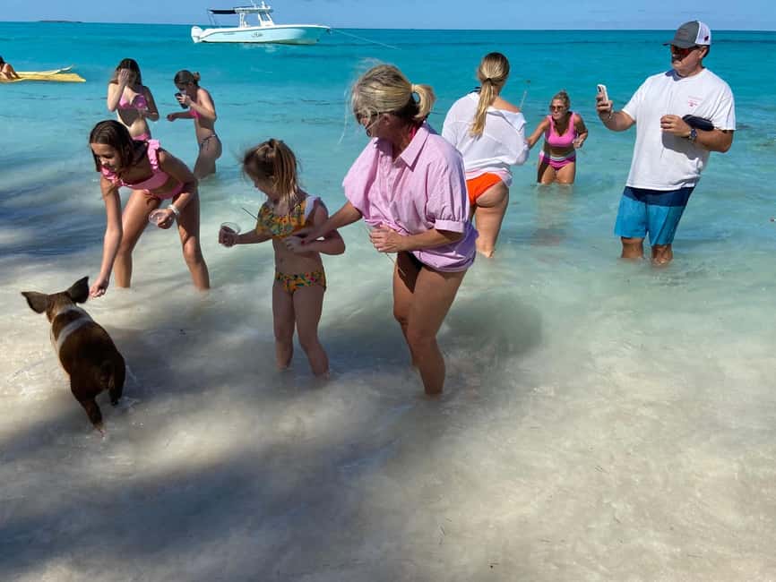 Rose Island: Pig Beach, Snorkeling, Sea Turtles, Beach - What the $1,800 price really means