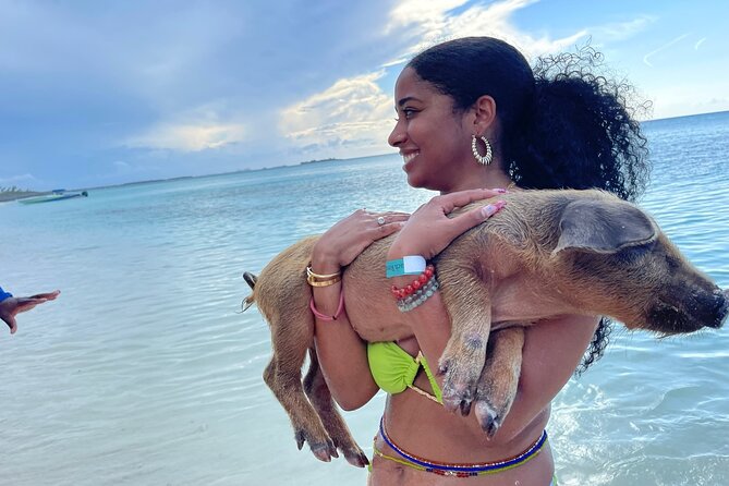 Rose Island Private Beach: Swimming with the Pigs - What makes this Rose Island trip worth considering