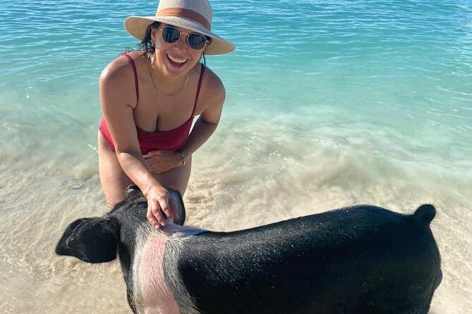 Rose Island Private Beach: Swimming with the Pigs - Weather can change the experience