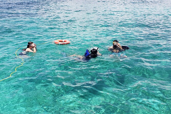 Rose Island: Private Snorkeling, Fishing, and Swimming with Pigs - Rose Island beaches and the pace of the afternoon