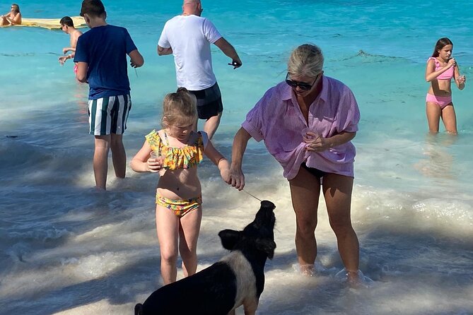 Rose Island Swimming Pigs - What the boat setup means for comfort