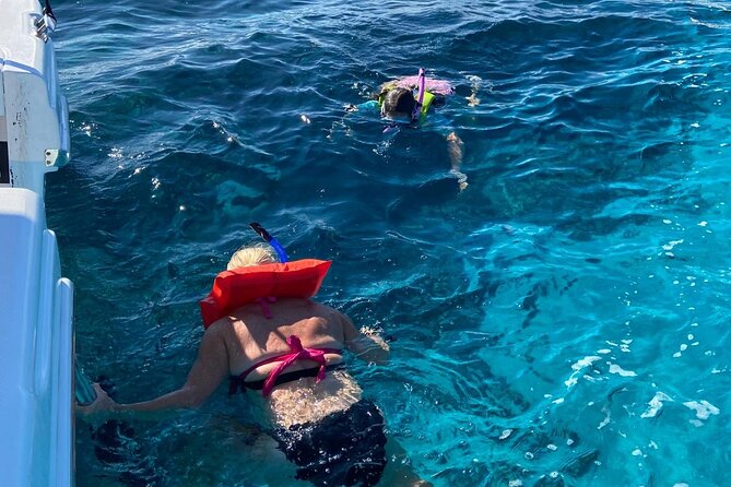 Rose Island Swimming Pigs - Who should book this Rose Island trip?