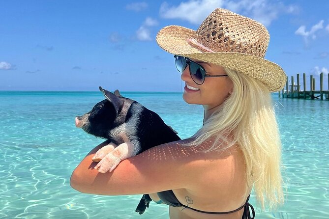 Rose Island Swimming Pigs & Beach Snorkeling Experience Nassau. - Key points to know before booking