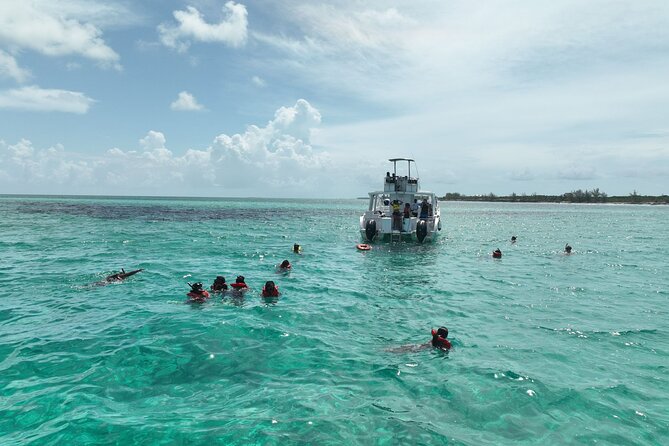 Rose Island Swimming Pigs & Beach Snorkeling Experience Nassau. - Why Rose Island makes a good Nassau escape