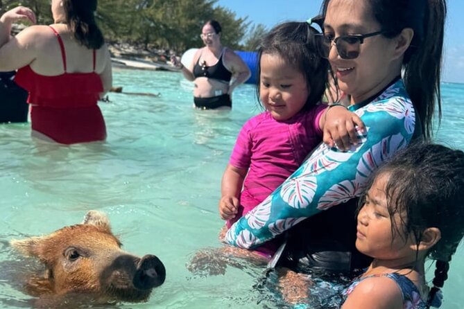 Rose Island Swimming Pigs & Beach Snorkeling Experience Nassau. - Snorkeling beside Rose Island’s beach